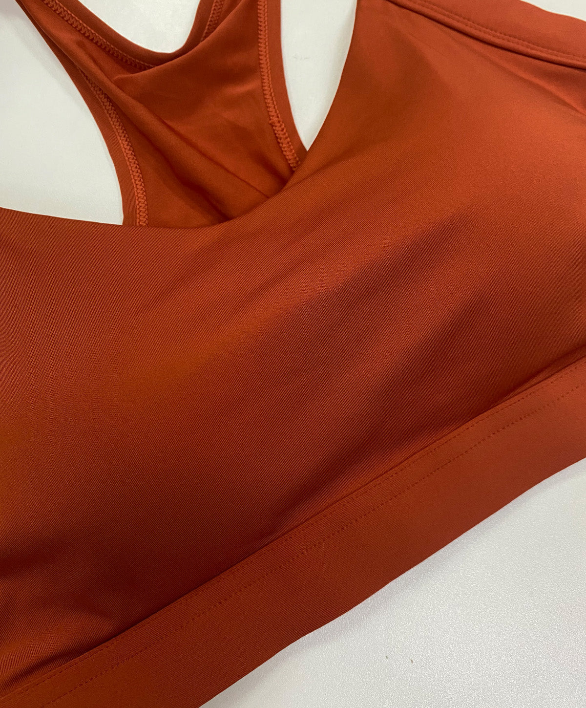 Energized Fiery Serpent Warrior Sports Bra with Back Hook
